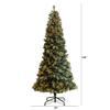 Nearly Natural 9ft. Frosted Tip British Columbia Mountain Pine Artificial Christmas Tree with 700 Clear Lights, Pine Cones and 1512 Bendable Branches view 2