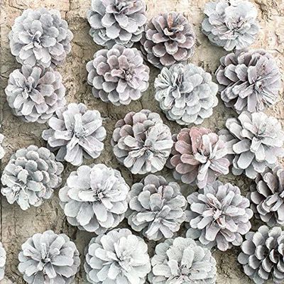 Keep Unique 20-ct 6.5x6.5 ChristmasPaper Pinecones Flower Luncheon Decoupage Napkins, 3-Ply Servilletas Printed Flower Cocktail Napkin for Art, Dinner and Party, Disposable Napkins Decor