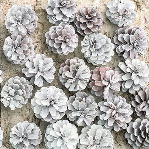 Keep Unique 20-ct 6.5x6.5 ChristmasPaper Pinecones Flower Luncheon Decoupage Napkins, 3-Ply Servilletas Printed Flower Cocktail Napkin for Art, Dinner and Party, Disposable Napkins Decor