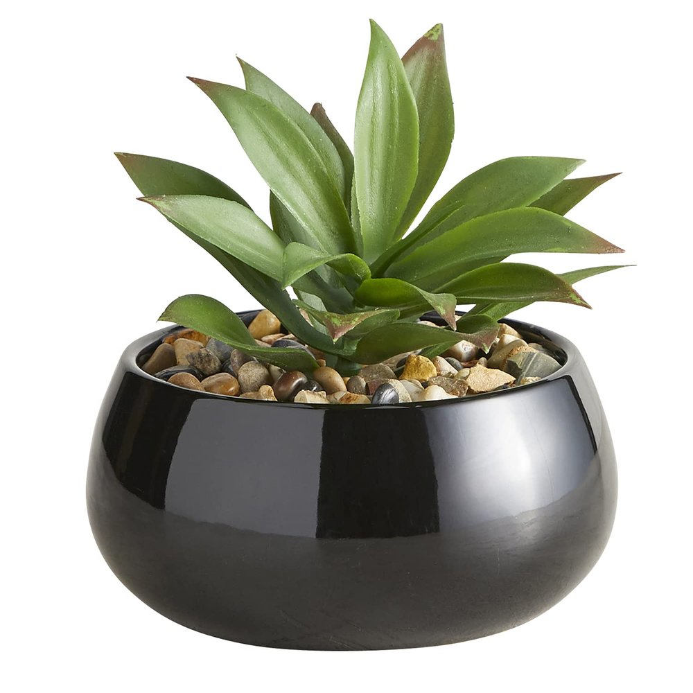 47th & Main Artificial Succulent Plant in Pot, 5.6" Tall, Nodulosa/Black