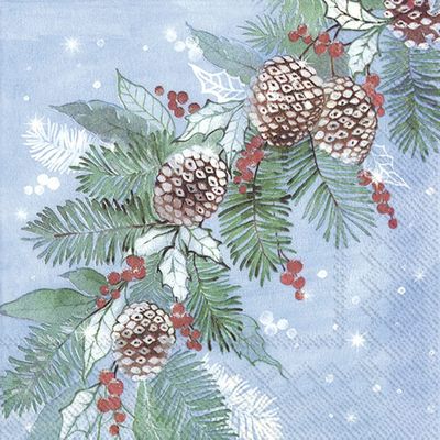Boston International IHR 3-Ply Paper Napkins, 20-Count Cocktail Size, Frosted Pine Light Blue
