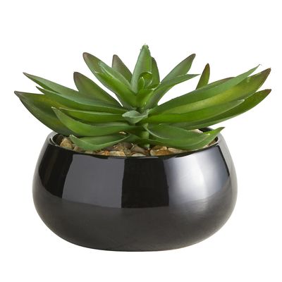 47th & Main Artificial Succulent Plant in Pot, 5.6" Tall, Crassula/Black