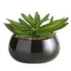 47th & Main Artificial Succulent Plant in Pot, 5.6" Tall, Crassula/Black view 1