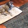 Linon Home Decor Products The Anywhere Washable Rug Jasper Teal & Ivory 3' X 5' Accent Rug view 4