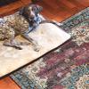 Linon Home Decor Products The Anywhere Washable Rug Carver Ivory & Burgundy 3' X 5' Accent Rug view 4