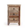 HomeRoots Assorted ASSORTED OLD COLLECTED/RE-CYCLED WOOD Arya Rustic Accent Chest view 1