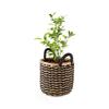 Compactor Flora Seagrass Storage Basket, Size Medium, Dia 25 x 25cm, Black/Brown, RAN10562 view 2