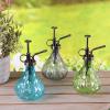 Meadowcreek Assorted 10 oz. Glass Globe Plant Mister - Case of: 12;1212 view 2