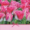 Keep Unique 20-ct 13x13 Flowers Paper Pink Tulip Luncheon Decoupage Napkins, 3-Ply Servilletas Printed Tulip Cocktail Napkin for Art, Dinner and Party, Disposable Napkins Decor view 1