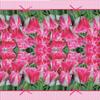 Keep Unique 20-ct 13x13 Flowers Paper Pink Tulip Luncheon Decoupage Napkins, 3-Ply Servilletas Printed Tulip Cocktail Napkin for Art, Dinner and Party, Disposable Napkins Decor view 2