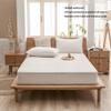 CFYCYHDZHT Bed Cover Room Kids Waterproof Urinary Quilted Mattress Protector, Single Double King Size Mattress Topper in The Elderly Bedroom Light Green 150200cm view 3