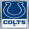 NFL Indianapolis Colts - Logo 21 Wall Poster, 22.4L" x 14.7W", Silver Framed Version view 1