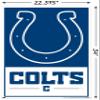 NFL Indianapolis Colts - Logo 21 Wall Poster, 34L" x 22.4W", Poster & Clip Bundle view 3