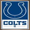 NFL Indianapolis Colts - Logo 21 Wall Poster, 22.4L" x 14.7W", Bronze Framed Version view 1