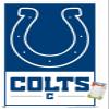 NFL Indianapolis Colts - Logo 21 Wall Poster, 34L" x 22.4W", Premium Poster & Mount Bundle view 1