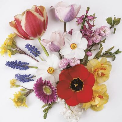 Keep Unique 20-ct 13x13 Paper Spring Mix Flowers Luncheon Decoupage Napkins, 3-Ply Servilletas Printed Flowers Cocktail Napkin for Art, Dinner and Party, Disposable Napkins Decor