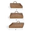 S/3 Decorative Water Hyacinth Tray view 4