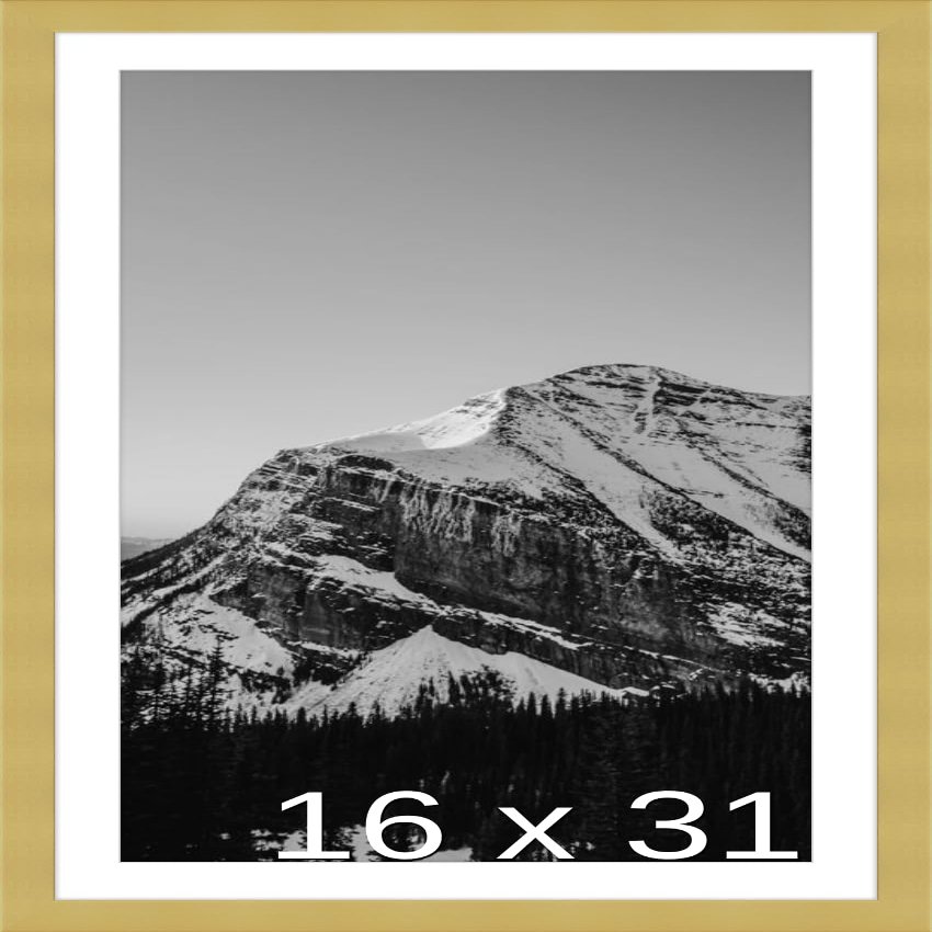 Frame It Easy 16 x 31 Gold Natural WoodFrame (Dayton) with Matting