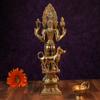 SHIVAJIARTS Bhairava Statue, 11.5Inch Brass Maha Kala Bhairav Statue, Hindu God Yamantaka, Vajrabhairav Murti, Bhairav Idol with Dog, Gold, 29 X 13 X 9 CM view 4