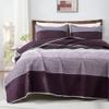 Andency Stripe Quilt Set Cal King(104x112Inch), 3 Pieces (1 Purple Quilt and 2 Pillowcases) Purple and Grey Striped Bedspread Set, Lightweight Soft Quilted Coverlet Set view 1