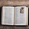 Needzo - Saint Sebastian Holy Prayer Card with Medal - Prayers on The Back, Catholic Saints Pocket Prayer Bookmarks - Bible Page Holders, Patron of Plague, Illness of The Dying, 3 3/8", Pack of 3 view 3