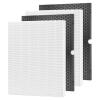 RONGJU Replacement 116130 Filter H for Winix 5500-2, 2 Filter & 2 Activated Carbon Filter Combo Pack Compare to Part # 116130 view 1