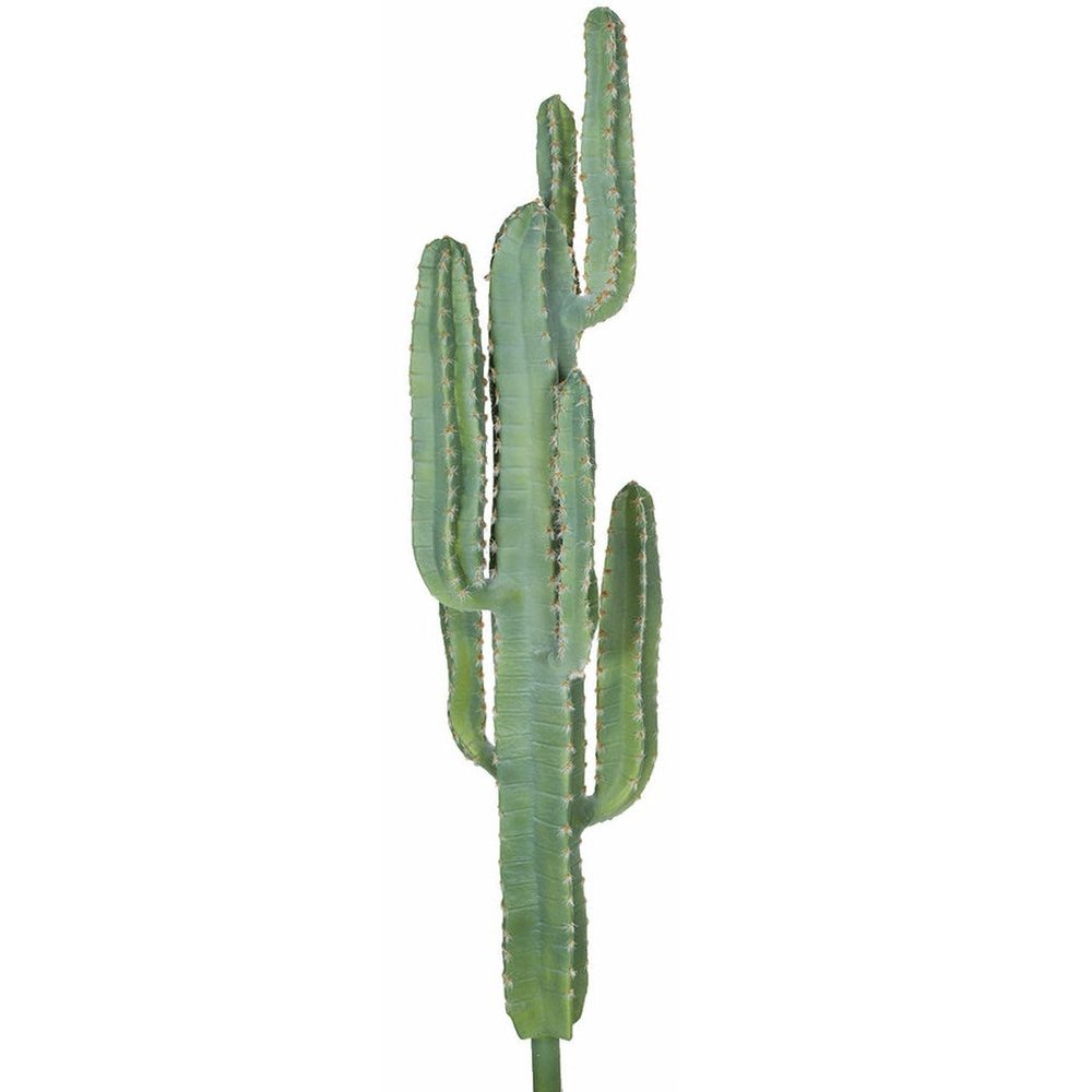 SilksAreForever 54" Plastic Saguaro Cactus Artificial Stem w/Beige Needles -Green