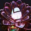 Atyhao LED Buddhist Lamp 7 Color Changing Temple Light Buddhist Supplies Decor US 100?240V view 4