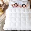Archu Sheets 1-Pc Comforter 100% Egyptian Cotton, 600 Thread Count 200 GSM Fiber Fill - Olympic Queen Taupe Solid view 3