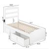 AFI, Warren Twin XL Platform Bed with Matching Footboard & Set of 2 Storage Drawers, White view 2