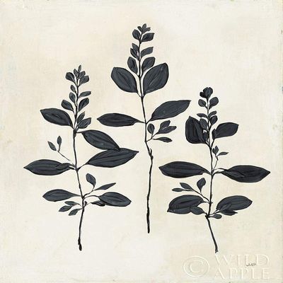Botanical Study IV by Julia Purinton - 16x20 Art Print Poster