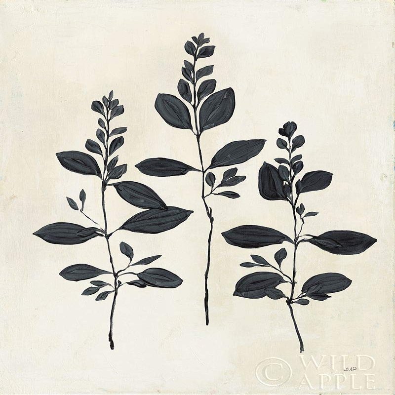 Botanical Study IV by Julia Purinton - 16x20 Art Print Poster