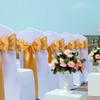 Babenest Satin Chair Sashes Ties Upgraded 50 pcs Chair Ribbons Bows for Wedding Banquet Party Christmas Baby Shower Events Decoration (Gold) view 2