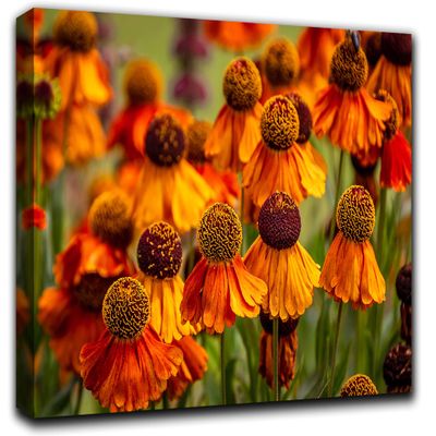 Summer Flowers Wall Art Decor Picture Painting Poster Print on Canvas Panels Pieces - Nature Theme Wall Decoration Set - Colorful and Warm Wall Picture for Living Room Bedroom 23 by 40 in
