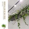 YDYFC Kitchen Bar Storage Shelving Ceiling Hanging Flower Stand Wine Rack, Metal Iron Frame Pot Pan Rack Floating Racking Display Shelves for Balcony Living Room - 60cm/80cm/120cm/140cm/150cm view 4