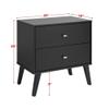 Allora Mid Century Modern 2 Drawer Nightstand in Black view 3