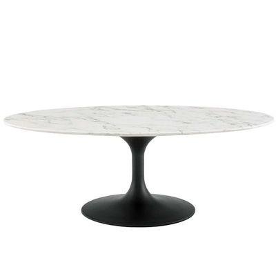 Allora Modern 48" Oval Top Metal Coffee Table in Black/White