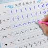 CAOMIAN Chinese Learning Characters First Grade Chinese Order of Strokes Calligraphy Copybook Copybook Writing for Beginner (Color : Copybook) view 3