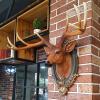Animal Head Wall Decor,Deer Antler Deer Head Wall Decoration,Artificial Deer Head Wall Sculpture Antler Wall Hanging Decoration for Hanging Wall Bracket,Home or Garden Decoration view 2