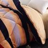 FFYUE Thick Lamb Velvet Autumn/Winter Quilt, Single/Double Thermal Quilt, Various Styles, Student Dormitory Household, Etc.,F,180 * 220CM view 3