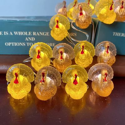 JASHIKA Thanksgiving Decor 3D Turkey Lights Fairy Decorative Fall String Lights