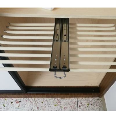 LKP Closet Pants Rack Rail Pull Out Clothes Organizers Extendable Storage Rack Slide Out Hanging Rack for Wardrobe Space Saving 13.8x24.7inch