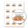 Fruit Adhesive 2 inch Round Paper Labels for Mason Jar Leeds Gift Box Home Canning Jam Jelly Marmalade Candy Syrup Preserves Personalized Farm Kitchen Name (Mandarin, 180 Labels on 15 Sheets) view 1