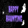 Happy Haunting Halloween Handmade Deco Mesh Wreath. Available in 24 inch and 28 inch diameters view 4