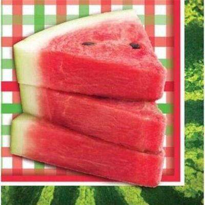 Set of 16 Individual Decoupage Paper Party Napkins Slice of Summer Watermelon Lunch Watercolor Decor Luncheon Napkin for a Birthday, holiday, Wedding, Cocktail Party