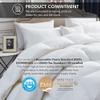 Luxurious California King (Cal King) Size Goose Down Feather Fiber Comforter Duvet Insert, 100% Egyptian Cotton Cover, 80 oz. Fill Weight Comforter (Cal King, White Stripe) view 3