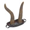 IPENNY Halloween Horns Headdress,Double Horn and Cow Head Skull Hoop Cosplay Fancy Dress Photo Props Hair Accessory for Christmas Halloween Easter Decoration Dance Party view 2