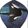 Killer Whale Novelty Metal Surfboard Sign SB-380