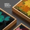 SIGNWIN Framed Canvas Print Wall Art Multicolor Seasonal Leaf Trio Nature Plants Illustrations Modern Art Rustic Colorful Ultra for Living Room, Bedroom, Office - 16"x24"x3 Natural view 4