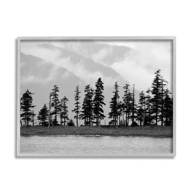 Stupell Industries Empty Pine Tree Forest Coast Line Misty Mountains, Designed by Savanah Plank Gray Framed Wall Art, 20 x 16, Black